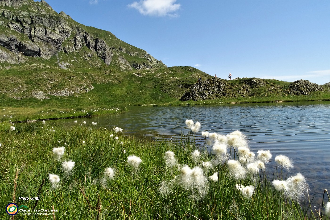 39 Bianchi eriofori al  Lago di Ponteranica inf..JPG